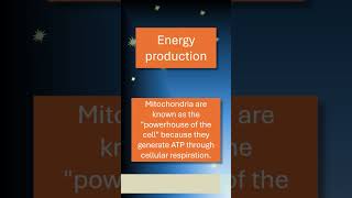 What is the primary function of mitochondria in a cell? #biology #facts #history