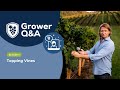 Grower Q&A Episode 4 - Topping vines during the season for the Grape Grower