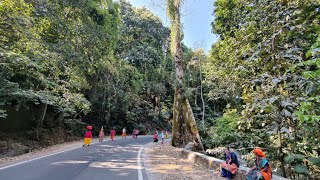 Shivaratri special 2022 ||Dharmasthala padhayatre || Shiradi Ghat ||