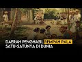 DAERAH PENGHASIL REMPAH PALA SATU-SATUNYA DI DUNIA | BANDA NEIRA