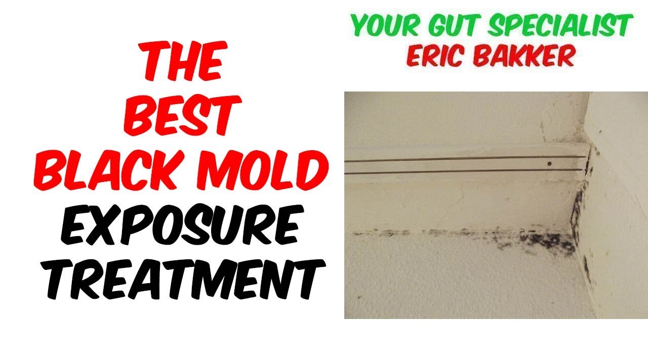 Black Mold Exposure Treatment Youtube