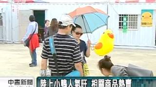 20131102 公視中晝新聞 高雄小鴨馳援 水鴨變成旱鴨