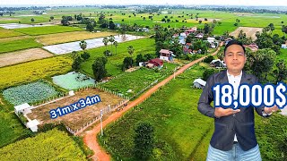 ដីលក់បន្ទាន់ 18,000$ ទំហំដី31m x 34m #drone #land #realestate #property #home