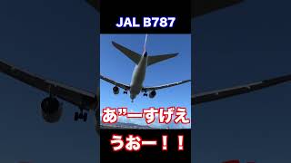 【恐怖】飛行機が頭上スレスレを爆速で飛行！日本一の激ヤバ飛行機スポット！伊丹空港・千里川土手 #shorts   #飛行機 #千里川土手