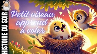 Petit oiseau apprend à voler l histoire du soir l histoire quiz l confiance en soi