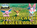 How to get Eevee Early and Evolve it in Pokemon Legends Arceus