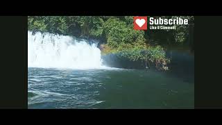 ಕೋಟೆ ಅಬ್ಬೆ ಜಲಪಾತ | Hidden Waterfall coorg | Madikeri | Karnataka #koteabbey #madikeri #viral #k #new