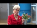 web exclusive wews reporter john kosich interviews hhs secretary kathleen sebelius