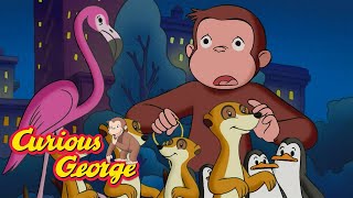 George Lets All the Animals Escape! 🐵 Curious George 🐵 Kids Cartoon 🐵 Kids Movies