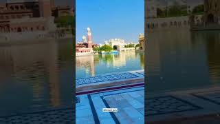 Waheguru ji blessings 💕💗🌼/waheguru ji whatsapp status/ gurbani quotes/#shorts #waheguru #quotes