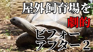 アルダブラゾウガメとケヅメリクガメの飼育環境である屋外飼育場を劇的ビフォーアフター2　aldabrachelys gigantea　亚达伯拉象龟＆Geochelone sulcatantea　非洲鞭龟