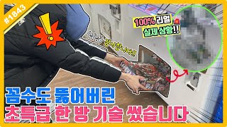 사장님 울게 만든 초특급 한 방 기술!! 이것만 쓴다면 전국 털기 가능?? (고니두욘몬 20220107) #1843