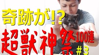 【モンスト】超獣神祭を100連してみた!!#3【ぎこちゃん】