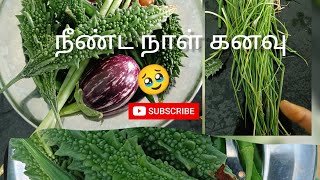 நீண்ட நாள் கனவு இப்படிலாம் இருக்கும்ன்னு 🥹|Harvest in Ma garden 🏡#support #mygardenmylove #trending