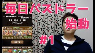 【パズドラ】日々是闘技場#1