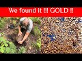 Why is there so much GOLD in the woods ?