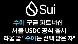 수이 - 수이가 급등하는 이유! 서클 USDC 발행 \u0026 구글 파트너십