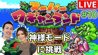 【夫婦実況】緑の恐竜ワギャンと知育バトルに挑む！『スーパーワギャンランド』配信#10