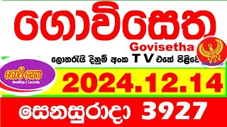 Govisetha 3927 2024.12.14 Today nlb Lottery Result අද ගොවිසෙත දිනුම් ප්‍රතිඵල  Lotherai dinum anka