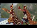 Machu Picchu 101   National Geographic