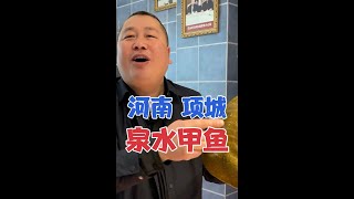 河南项城特色泉水甲鱼，128一斤月销40万，做法独特清澈如水#地方特色美食 #美食探店 #甲鱼 #特色菜 #寻味