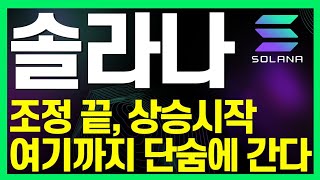 [솔라나 코인전망] 미친 파급력을 들고 조정 끝냈다.!!! 지금 부터 시작합니다.!