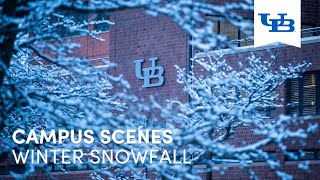 Winter Snowfall | University at Buffalo