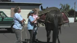 How to Tie the box hitch