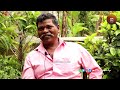 മഹാദേവനെ കൊണ്ടുകൊടുത്തത് ഞാനാ chalakudy balan aanabalan uttoly mahadevan interview part 2