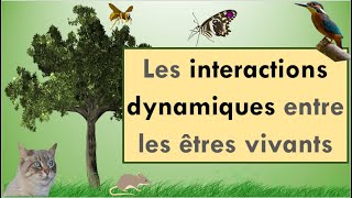 Les interactions dynamiques entre les êtres vivants