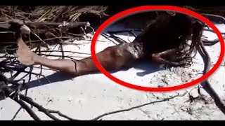 5 MERMAID CAUGHT ON CAMERA \u0026 SPOTTED IN REAL LIFE