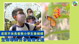 健康360 TVB｜退而不休長者教小學生養蝴蝶 校長退休後教非洲鼓與學生打成一片   幫助學生建立信心抗逆風  與中學生規劃未來人生路 生命導師分享處世之道｜無耆不有