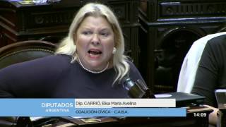 Diputada Carrió Elisa María Avelina - Sesión 05-07-2017