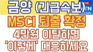 금양 주가전망 - 충격속보) MSCI 퇴출 확정! 4만원 이탈하면 '이렇게' 대응하세요!