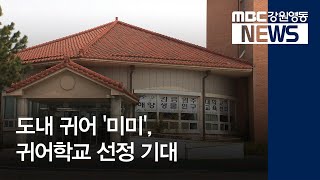 [뉴스리포트]도내 귀어 인구 '미미'..귀어학교 기대190327