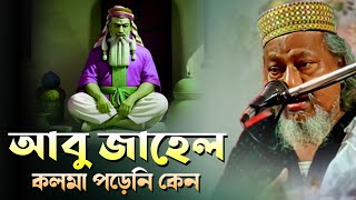 আবু জাহেল কলমা পড়েনি কেন┇Bangla Jalsa┇পীর ইসমাইল সিদ্দিকী┇Pir Allama Ismail Siddiqui