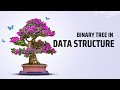 Binary Tree Implementation in Python .