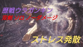 MHW 双剣 ノーダメージ 歴戦ウラガンキン モンスターハンター：ワールド