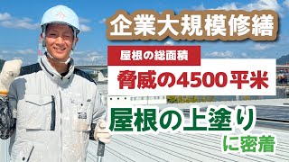 【企業大規模修繕】大規模修繕の場合の屋根塗装方法を特別にご紹介します！