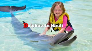 Amazing Facts about Dolphins in Hindi – डाॅल्फिन्स के बारे में रोचक तथ्य 🐬by Amazing Hindi Facts