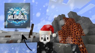 WildWorld🥶 Залутал зимний вулкан *Лучшая копия FunTime*