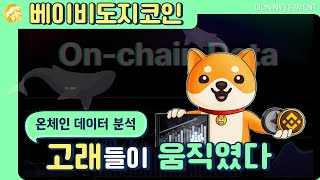 베이비도지코인 온체인데이터 분석! 고래가 움직였다! 【베이비도지코인 알아보기】