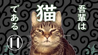 【朗読】吾輩は猫である(11)／夏目漱石