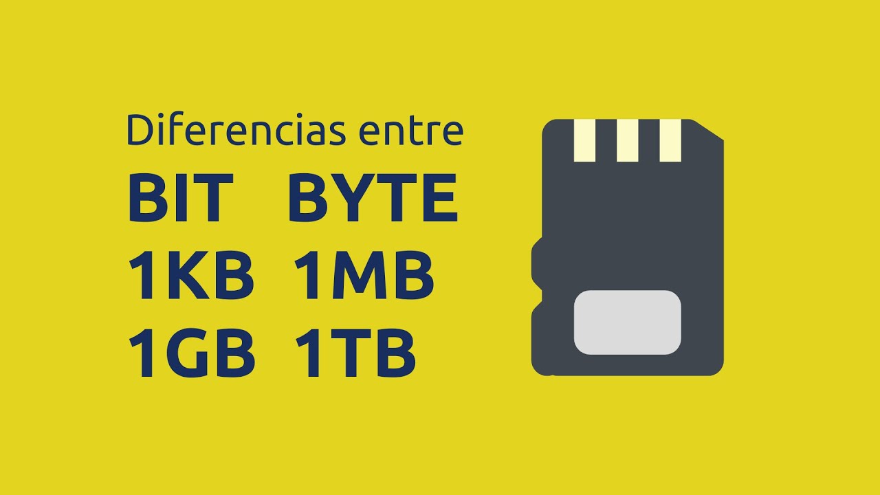 Ejemplos De Unidades De Almacenamiento De Informacion - Opciones De Ejemplo