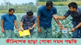 কীটনাশক ছাড়া সবজি ক্ষেতে পোকা দমন পদ্ধতি - বিষমুক্ত সবাজি চাষ- বালাই দমন ব্যবস্থা - সেক্স ফেরোমন ফাদ