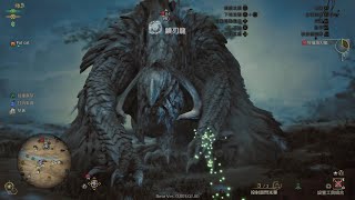 MHWilds Beta 鎖刃龍 長槍 初見殺 2貓落石捕獲