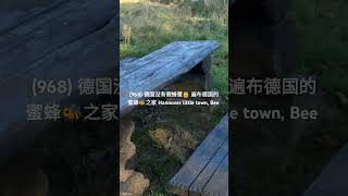 17.美丽德国我的家 (968)德国没有假蜂蜜🍯 遍布德国的蜜蜂🐝之家 德国的生态多样性保护 Hannover little town, Bee #shorts