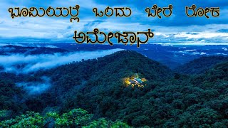 Amazon Rain Forest Interesting Facts|ಅಮೆಜಾನ್ ಅರಣ್ಯದ ಕುತೂಹಲಕಾರಿ ಫ್ಯಾಕ್ಟ್ಸ್| Fact In Kannada|