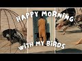 My First Video | Happy Morning With My Birds 😊