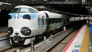 パンダくろしお！特急くろしお11号 新宮行き発車 287系HC604編成 新大阪駅